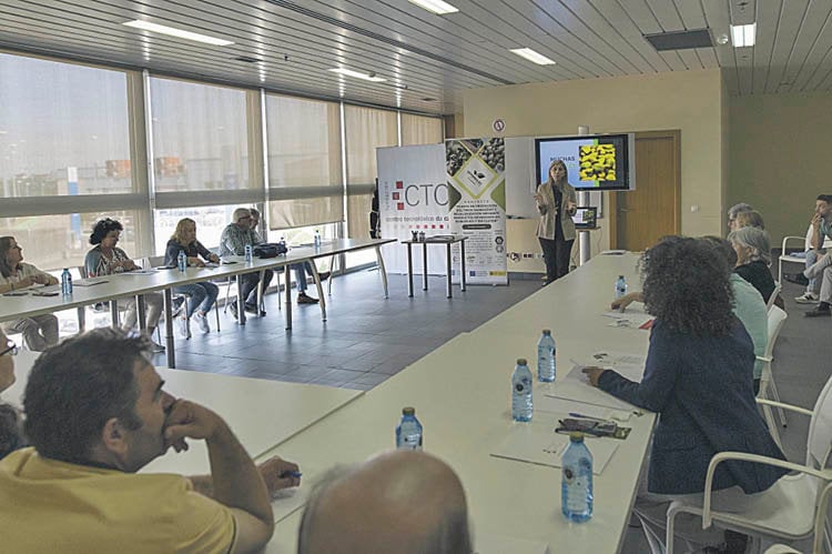 El trigo sarraceno se muestra como cultivo de futuro en Ourense
