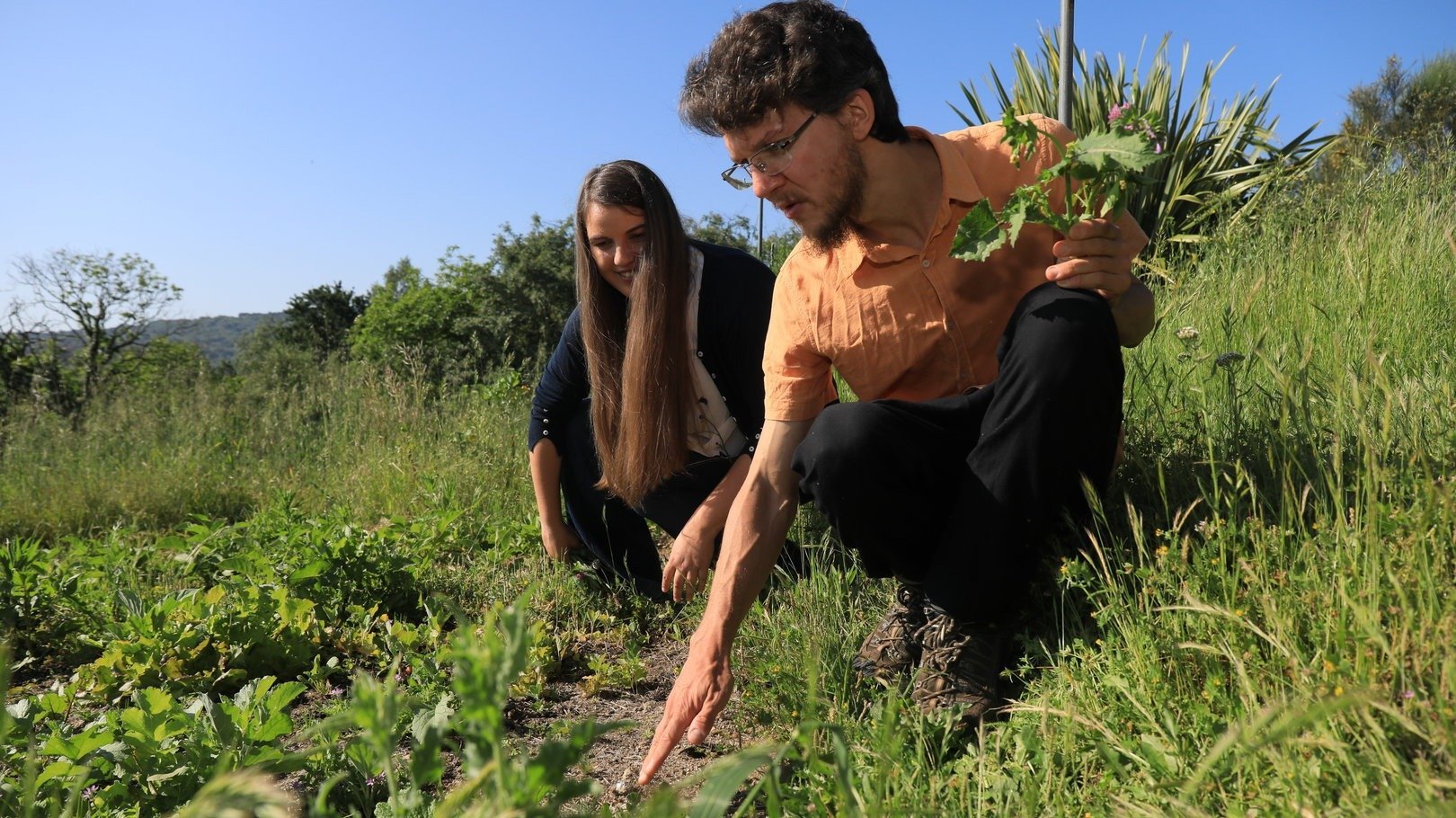 Un taller en Calvos de Randín enseña a identificar plantas silvestres comestibles