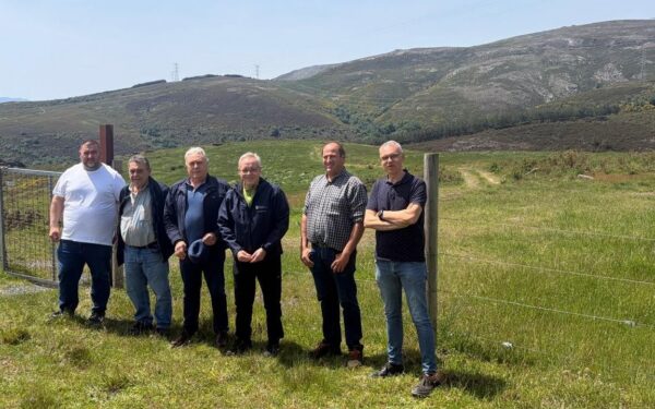 A Xunta invirte 197.000 euros na preparación de montes comunais en Bande e Lobeira