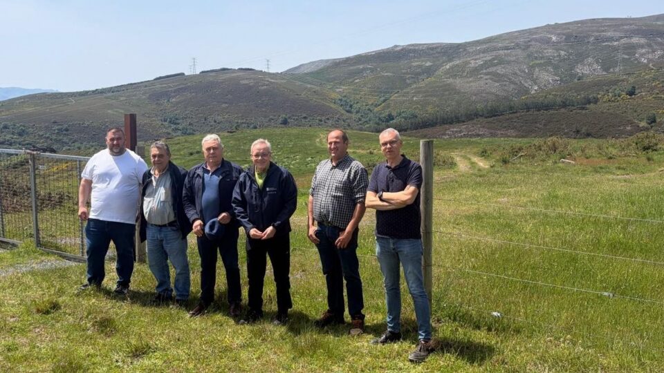A Xunta invirte 197.000 euros na preparación de montes comunais en Bande e Lobeira