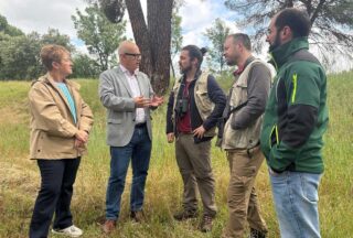 O proxecto científico Galifire estuda o impacto dos incendios nas aves de Ourense