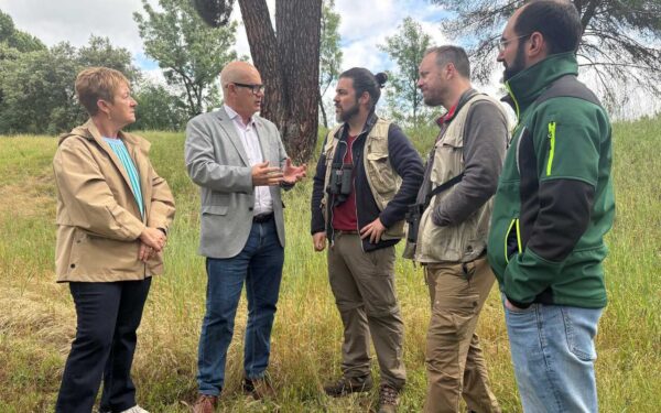 O proxecto científico Galifire estuda o impacto dos incendios nas aves de Ourense