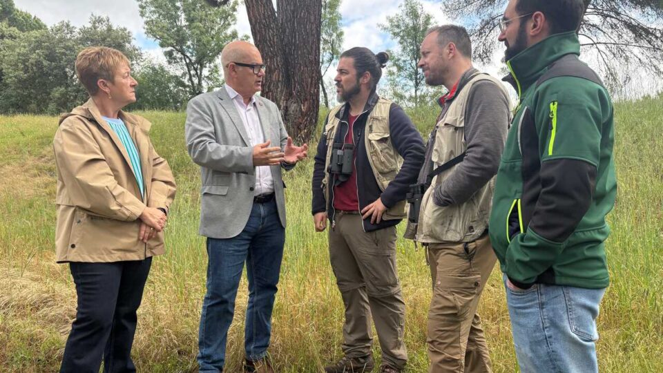 O proxecto científico Galifire estuda o impacto dos incendios nas aves de Ourense