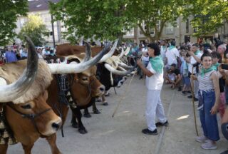 Festividades en Ourense: Xinzo de Limia, Allariz e Boborás protagonistas do final de maio