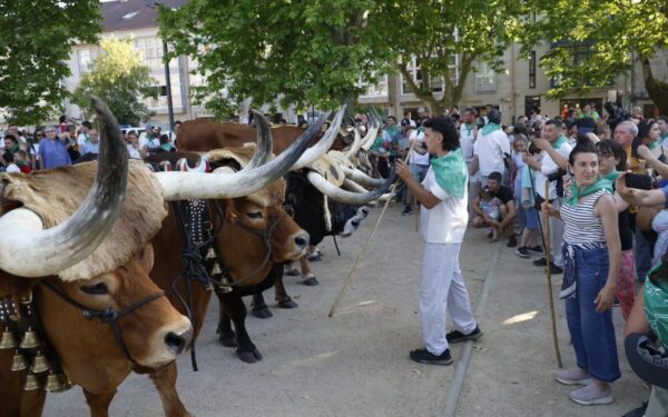Festividades en Ourense: Xinzo de Limia, Allariz e Boborás protagonistas do final de maio