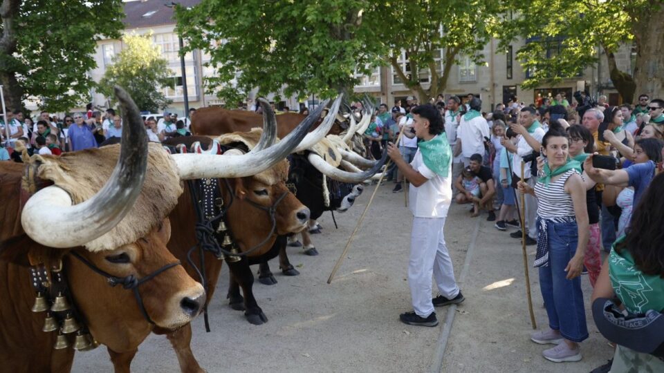 Festividades en Ourense: Xinzo de Limia, Allariz e Boborás protagonistas do final de maio