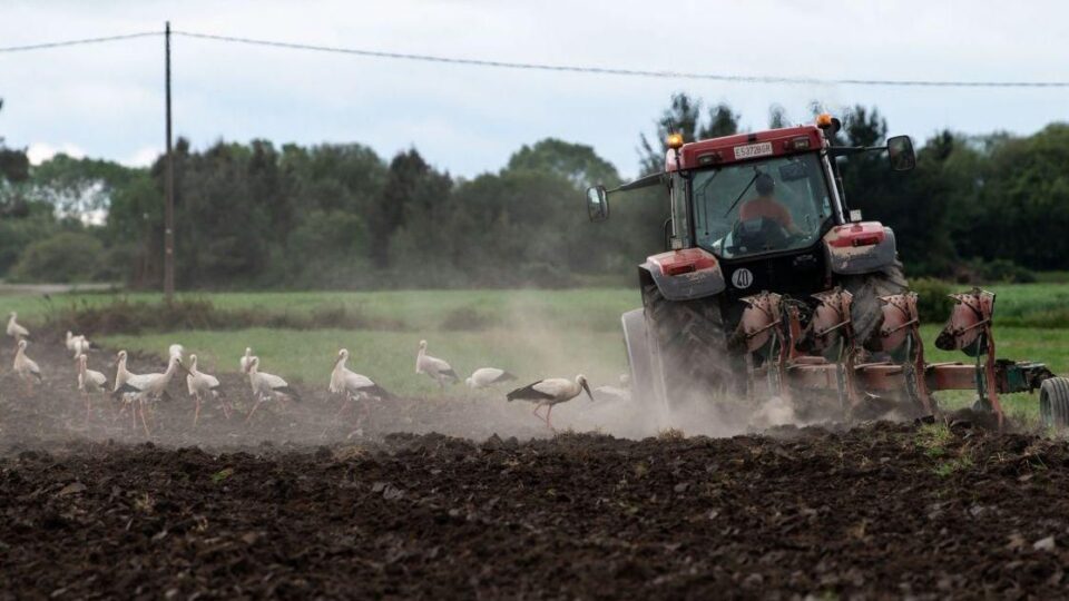 Retraso na sementeira de pataca en A Limia debido ao exceso de precipitacións