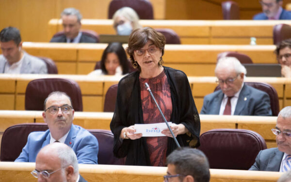 A senadora do BNG esixe unha investigación polo apagamento dixital en Ourense