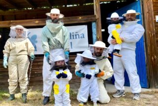 Experiencia educativa e natureza en "A Abelliña azul"