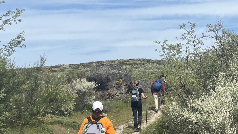 Rutas de sendeirismo pola Vía da Prata: Proxecto "Camiño Vertical"