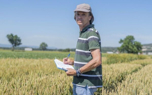A Limia: referente no cultivo de cereais de inverno