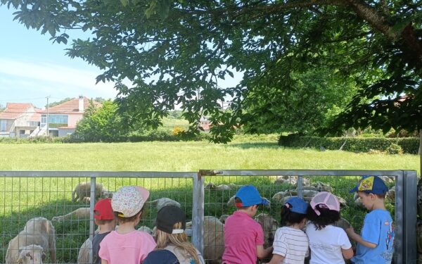 O Pobo Escola de Lodoselo pecha unha exitosa tempada de educación ambiental e biodiversidade