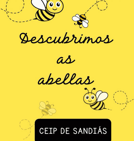 Pechamos o curso da mellor maneira posible no CEIP de Sandiás!
