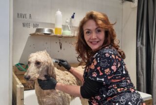 Casa Guau Guau celebra o seu segundo aniversario en Ourense