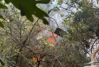Un incendio forestal amenaza varias casas en Sarreaus: «Ya estamos acostumbrados»