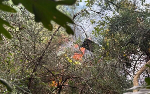 Un incendio forestal amenaza varias casas en Sarreaus: «Ya estamos acostumbrados»