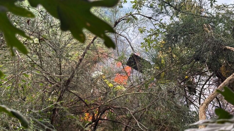 Un incendio forestal amenaza varias casas en Sarreaus: «Ya estamos acostumbrados»
