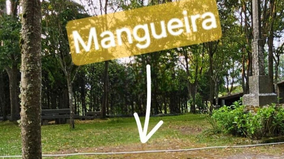 Robo inusitado nun templo de Sandiás