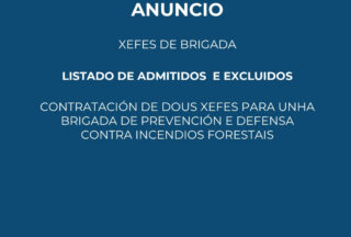 Anuncio: Listado admitidos-excluidos. Contratación de dous Xefes de Brigada Forestal