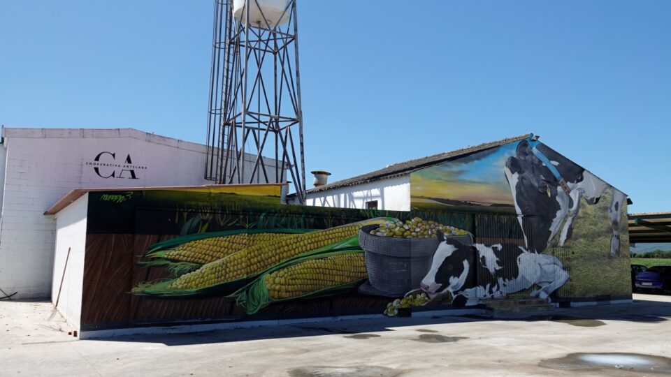 A Cooperativa Antelana: o éxito da gandería láctea na Limia que aposta polo futuro
