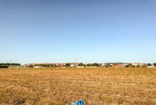 O PP de Ourense esixe medidas urxentes ante a vaga de roubos nas explotacións agrícolas da Limia