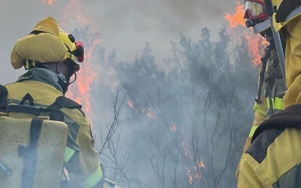 Estabilizado un incendio forestal no Parque Natural da Baixa Limia-Serra do Xurés