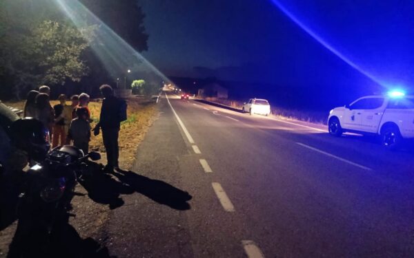 Protección Civil de Sandiás intervén nun accidente provocado por un corzo na recta de Piñeira