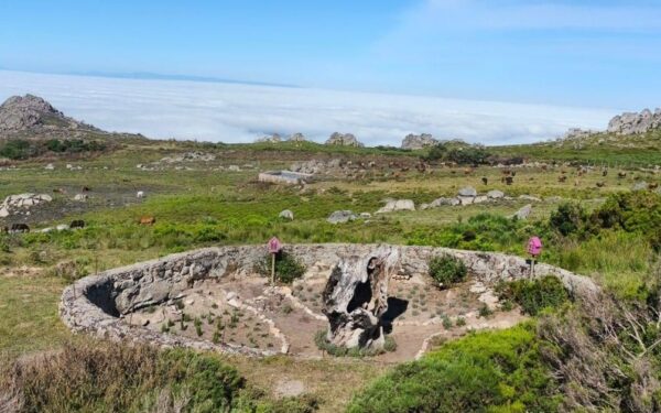 Vilar de Barrio crea unha reserva de polinizadores na memoria de "O Vilas"