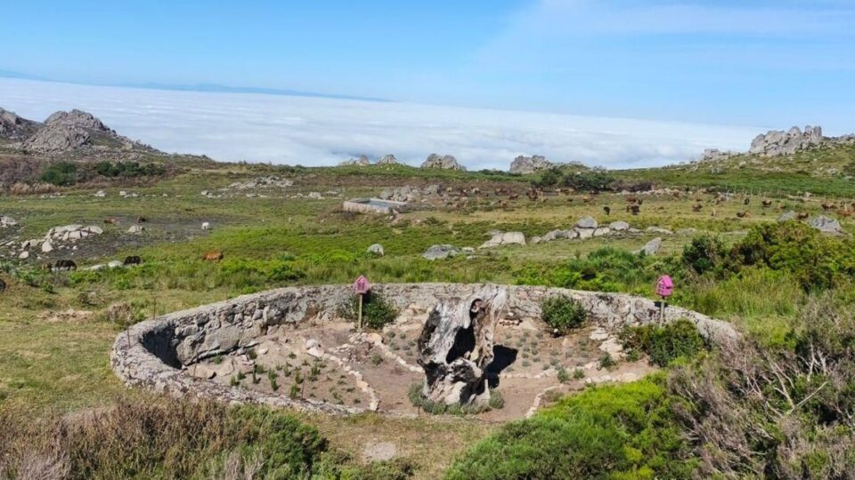 Vilar de Barrio crea unha reserva de polinizadores na memoria de "O Vilas"