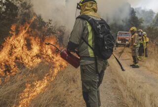 Incendio forestal en Baltar: 95 hectáreas queimadas tras un lume intencionado