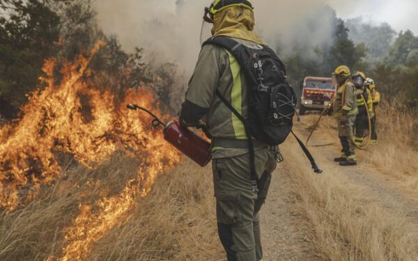 Incendio forestal en Baltar: 95 hectáreas queimadas tras un lume intencionado