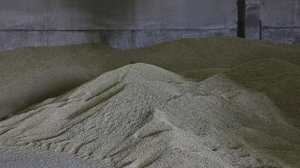 A cebada convértese na nova alternativa rendible para os agricultores da Limia