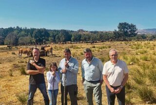 Unha gandería de Trasmiras, exemplo na conservación da raza Limiá grazas ás axudas da Xunta