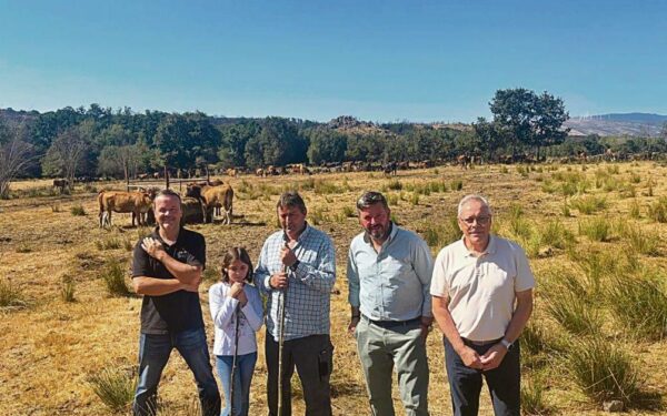 Unha gandería de Trasmiras, exemplo na conservación da raza Limiá grazas ás axudas da Xunta