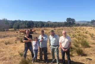 A Xunta destina 390.000 euros a axudar aos gandeiros que crían razas autóctonas