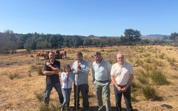 A Xunta destina 390.000 euros a axudar aos gandeiros que crían razas autóctonas