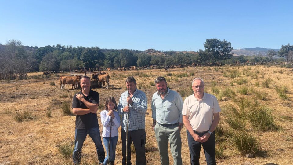 A Xunta destina 390.000 euros a axudar aos gandeiros que crían razas autóctonas