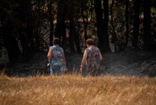 Controlado o incendio forestal de Baltar tras arrasar 120 hectáreas