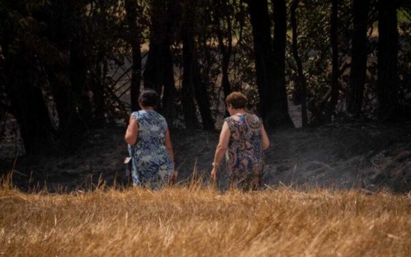Controlado o incendio forestal de Baltar tras arrasar 120 hectáreas