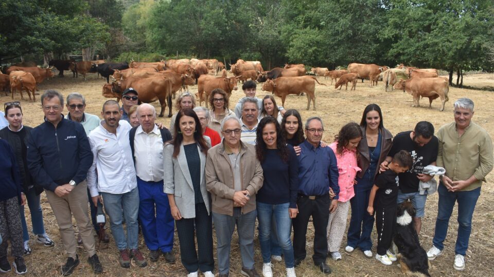 Muíños estrea un sistema de valado virtual para o gando que axuda a evitar incendios
