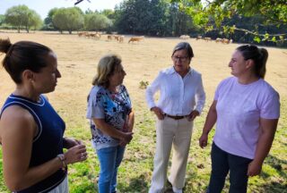 O PP pide ao Goberno central que envíe a Europa o informe sobre o lobo para permitir o seu control