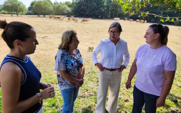 O PP pide ao Goberno central que envíe a Europa o informe sobre o lobo para permitir o seu control