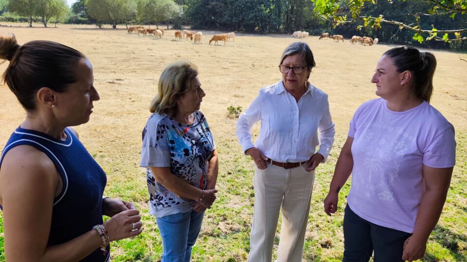 O PP pide ao Goberno central que envíe a Europa o informe sobre o lobo para permitir o seu control