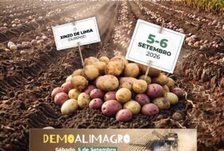 Xinzo de Limia celebra Alimagro 2026: feira, maquinaria e patacas