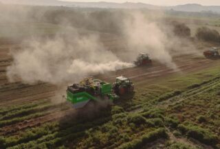 Nova maquinaria e previsións optimistas para a colleita de pataca en Xinzo