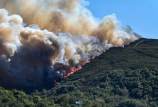 Extinguido o incendio forestal de Calvos de Randín tras calcinar 518 hectáreas