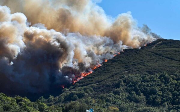 Extinguido o incendio forestal de Calvos de Randín tras calcinar 518 hectáreas