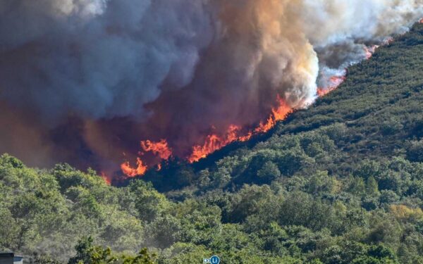 El fuego forestal en Calvos de Randín supera las 140 hectáreas afectadas y moviliza un amplio dispositivo aéreo y terrestre | NOTICIAS XINZO