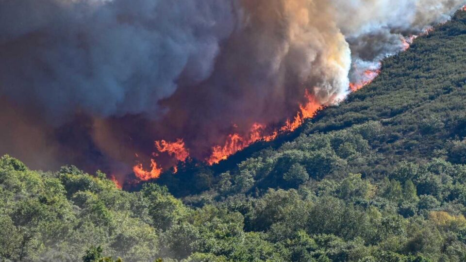 El fuego forestal en Calvos de Randín supera las 140 hectáreas afectadas y moviliza un amplio dispositivo aéreo y terrestre | NOTICIAS XINZO