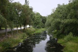 A Xunta prohibirá durante dous anos novas granxas na conca do río Limia
